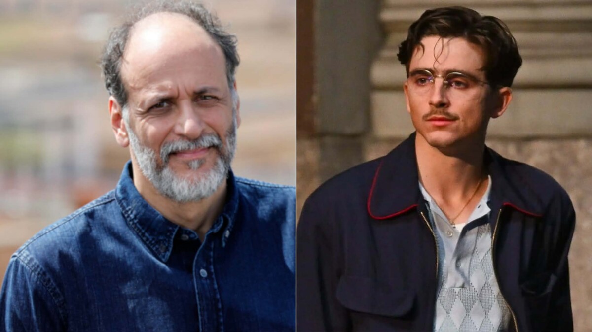 Luca Guadagnino difende Timothée Chalamet dopo le polemiche su cinema, balletto e opera