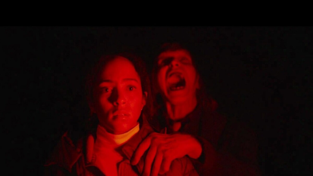 immagine film Passenger