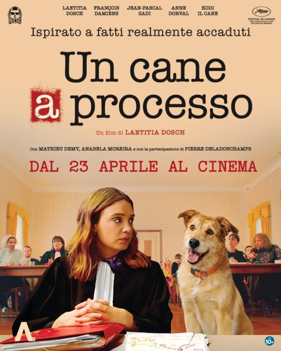 UN CANE A PROCESSO