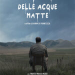 poster film la bolla delle acque matte