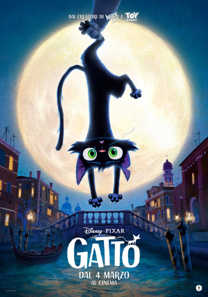 poster Gatto