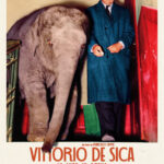 poster Vittorio D Sica - Vita da Scena