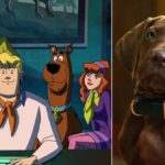Scooby-Doo: Origins