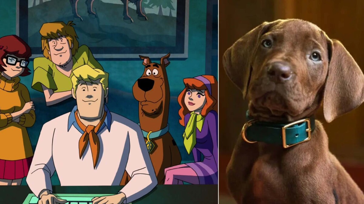 Scooby-Doo: Origins