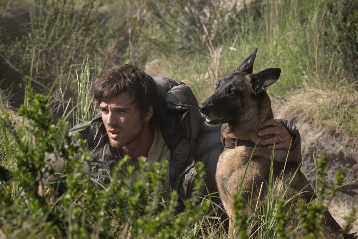 The Dog stars - le stelle dopo la fine