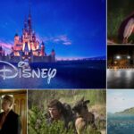 walt disney company