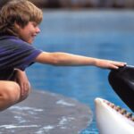 free willy