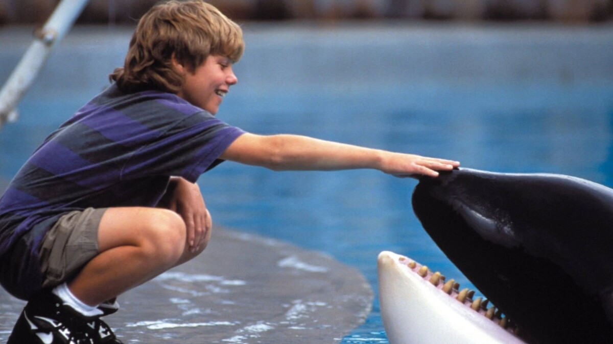 free willy