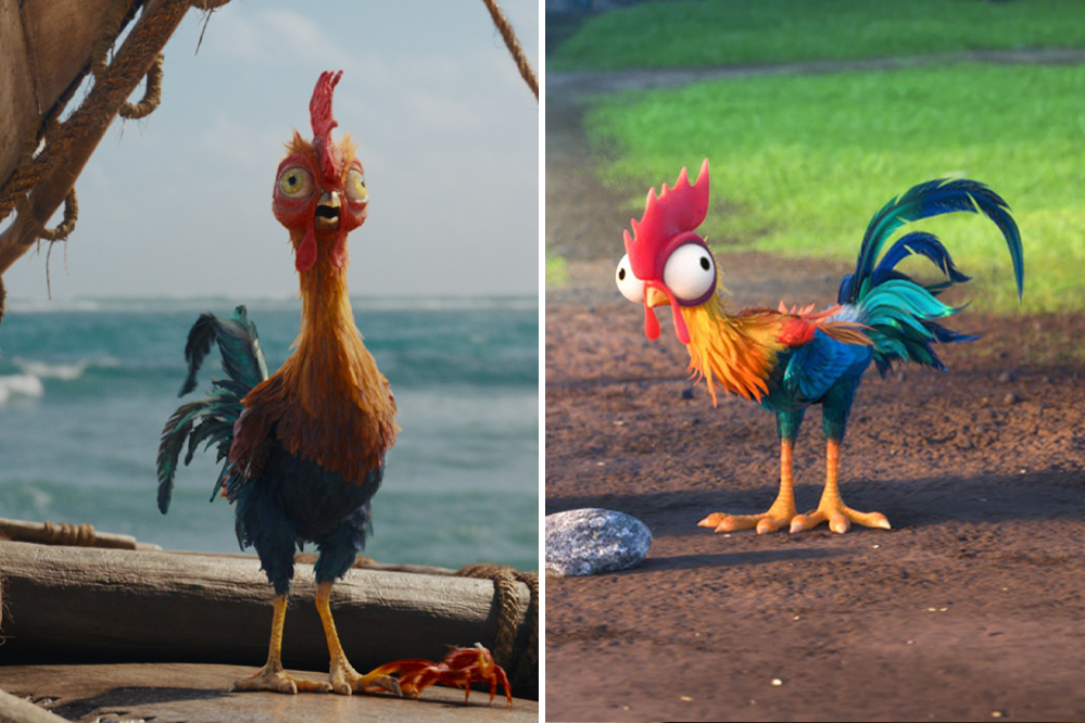 Heihei