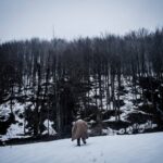 Se venisse anche l’inferno di Samuele Rossi