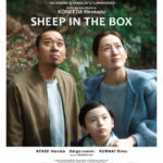 Sheep in the box poster