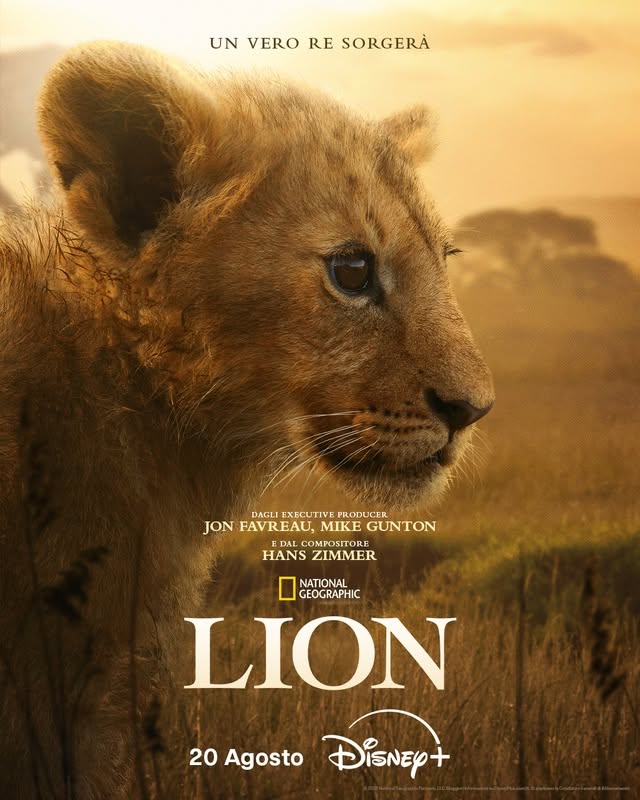 Lion Disney+