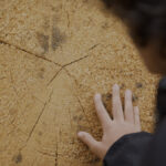 Holy Wood Dust, il documentario di Victor Kossakovsky