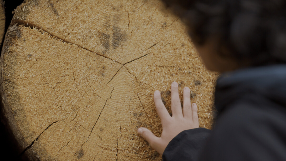 Holy Wood Dust, il documentario di Victor Kossakovsky