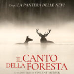 Il canto della foresta poster