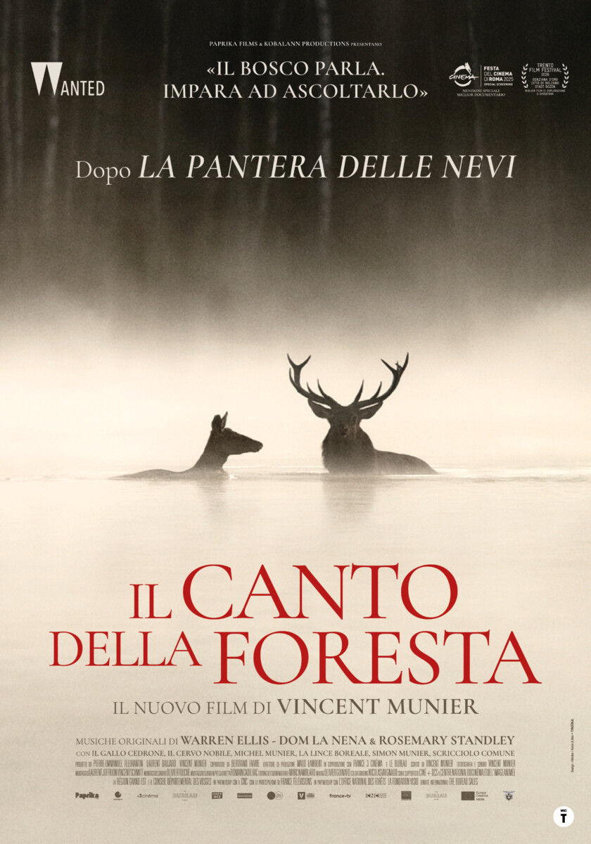 Il canto della foresta poster
