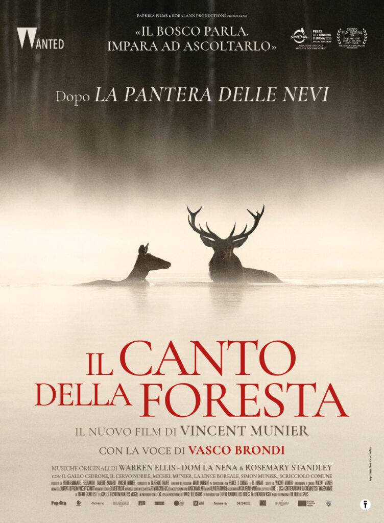 poster Il Canto della Foresta