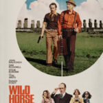 Wild Horse Nine poster