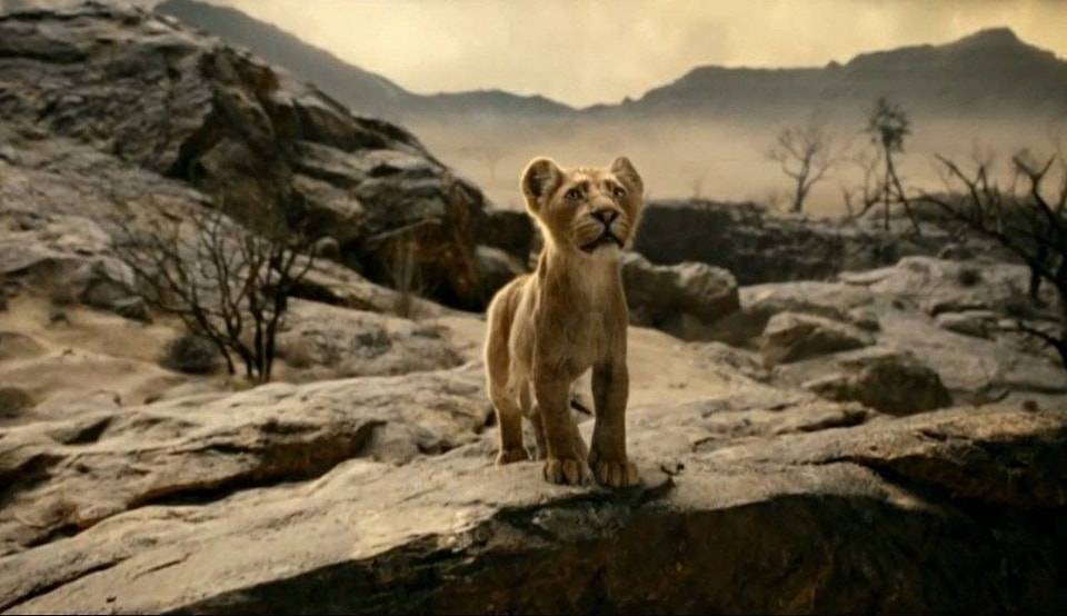 mufasa the lion king immagine 1