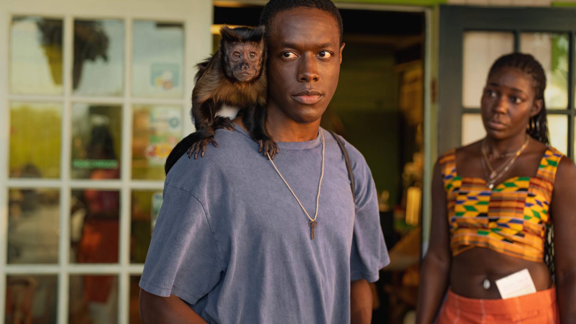 immagini Carl Hiaasen’s Bad Monkey