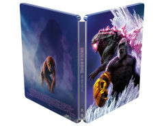 GODZILLA_X_KONG_RISE_4K_SB_OUTER_3D