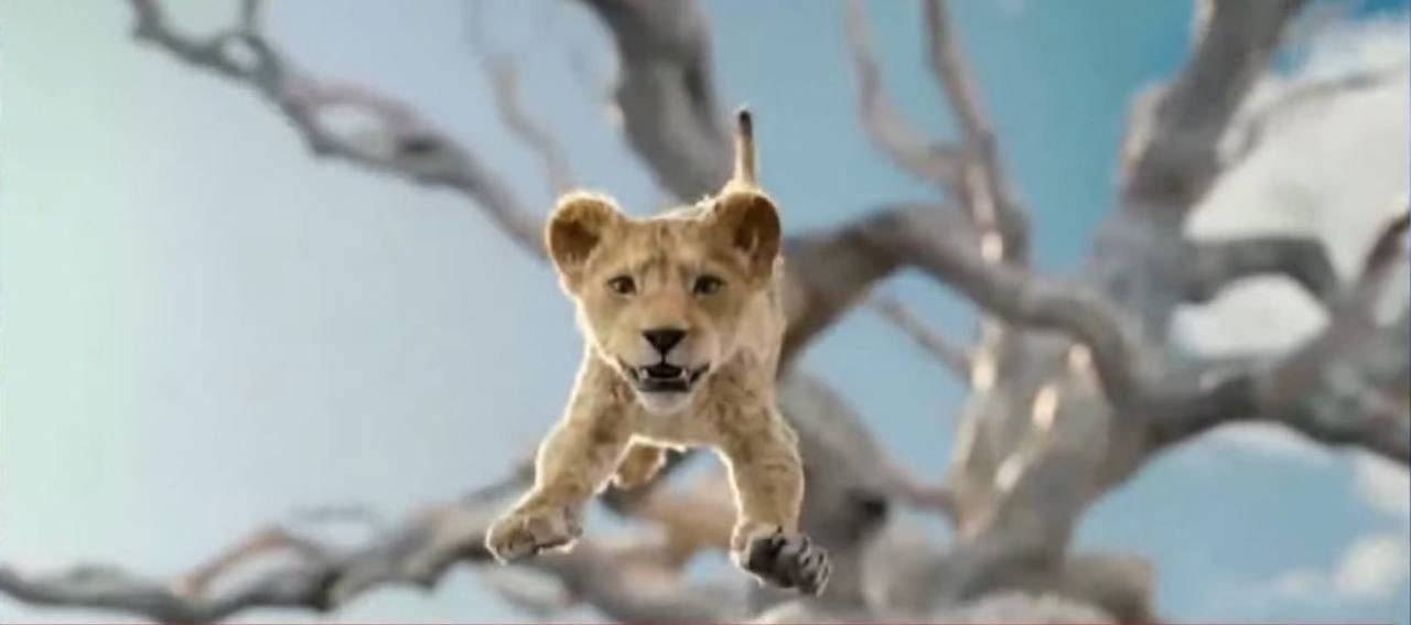 mufasa the lion king immagine 3
